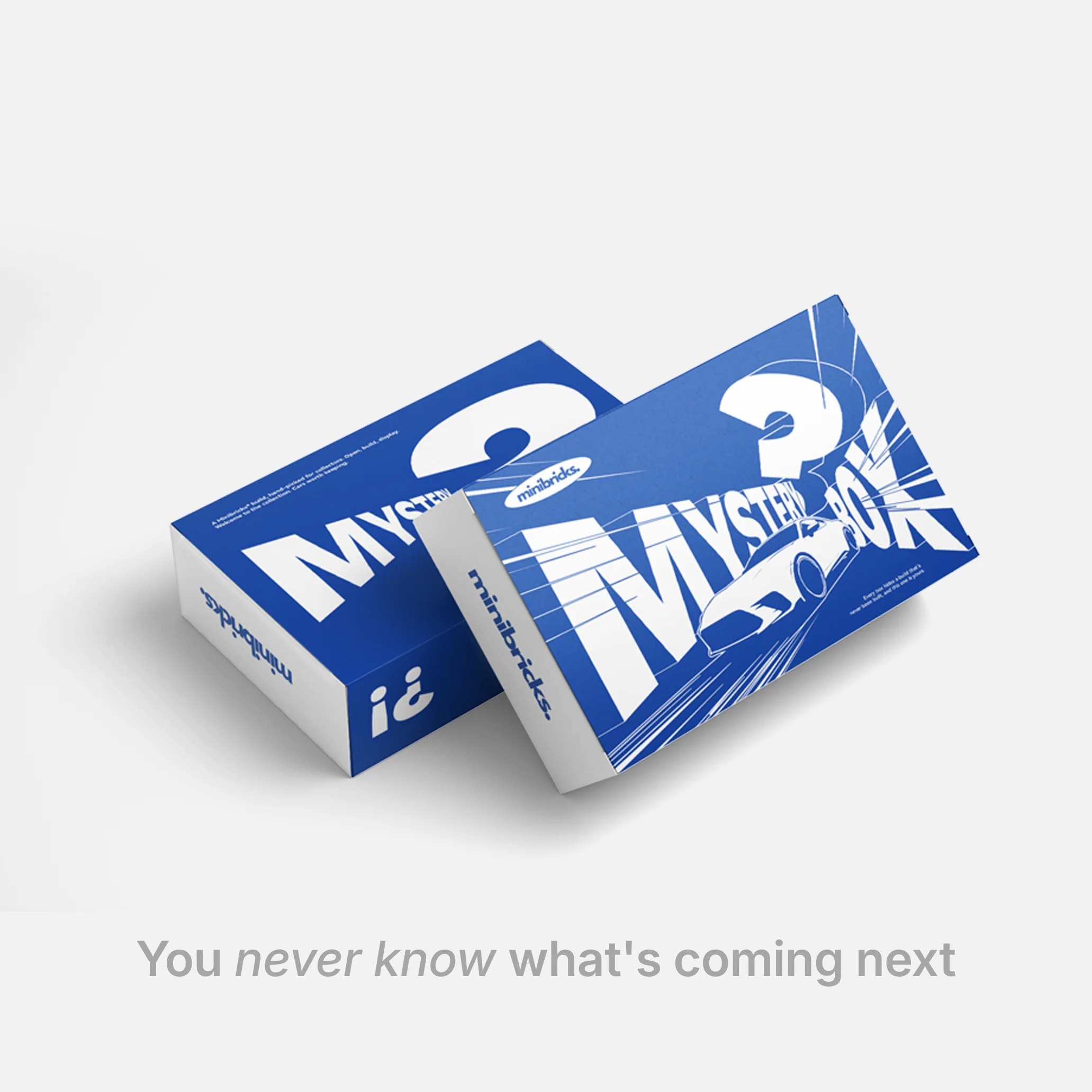 Mystery Car Subscription - Image 9